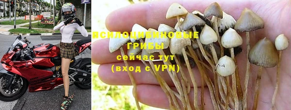 ешки Абдулино